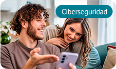 Ciberseguridad